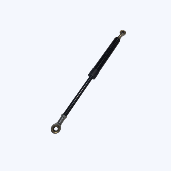 Gas strut